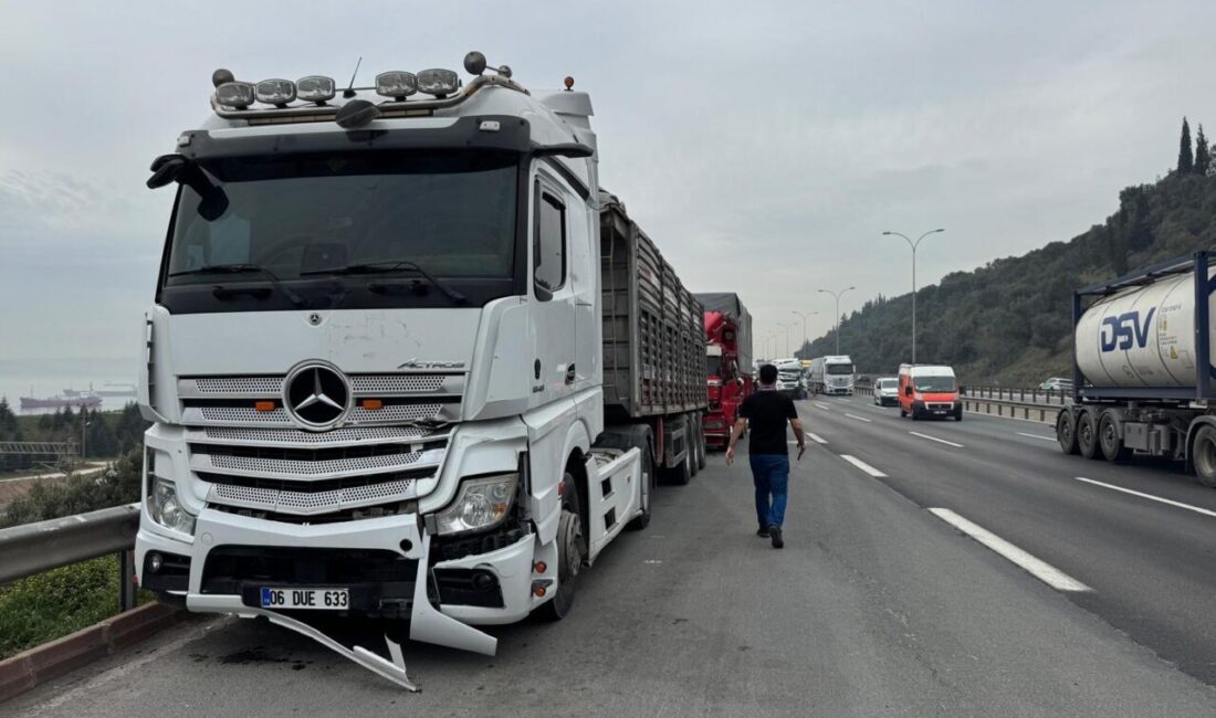 Ardacan UZUN/KÖRFEZ (Kocaeli), – TEM Otoyolu Kocaeli’nin Körfez ilçesi geçişinde