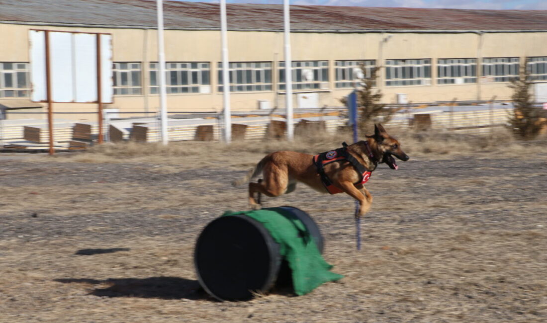 Ruken KADIOĞLU-Canberk ÖZTÜRK/ANKARA, – DOĞAL afetlerde arama kurtarma çalışmalarına katılan,