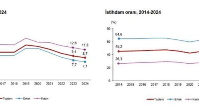 Caner ÜNVER/ANKARA, – TÜRKİYE İstatistik Kurumu (TÜİK), 2024 yılında işsizlik