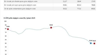 ANKARA, – TÜRKİYE İstatistik Kurumu (TÜİK), şubat ayında hizmet üretici