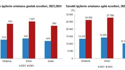 ANKARA, – TÜRKİYE İstatistik Kurumu (TÜİK), 2024 yılında mevsimlik tarım