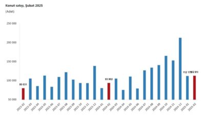 Gizem ÇORLU/ANKARA, – TÜRKİYE İstatistik Kurumu (TÜİK), şubat ayında konut