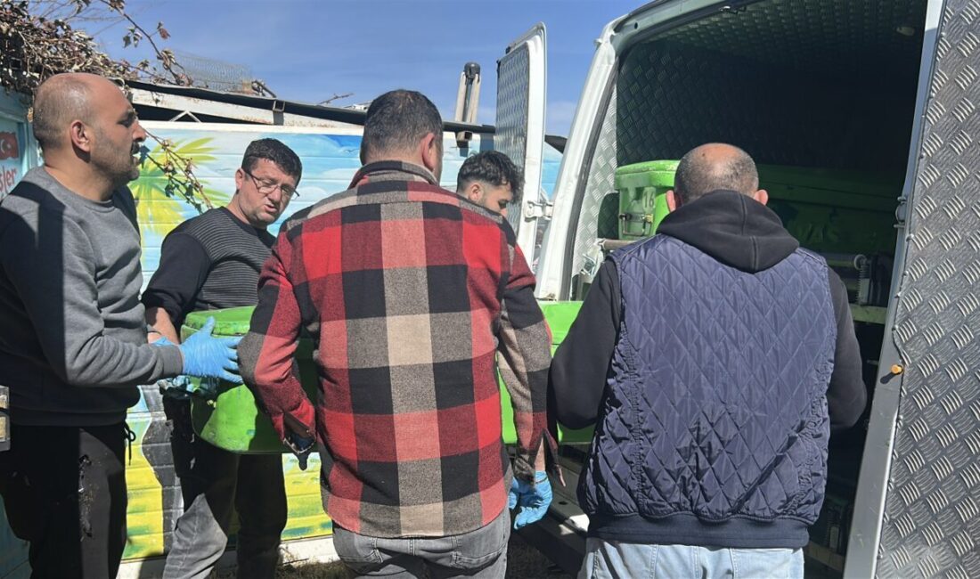 Uğur YİĞİT/SİVAS, – SİVAS’ta bir besi çiftliğinde çoban olarak çalışan