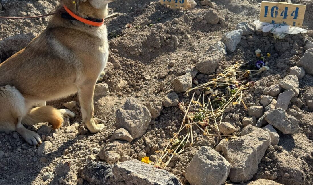 Umutcan ÖREN-Muhammet BAYRAM/ANKARA, – ANKARA’da kaldığı gecekonduda çıkan yangında hayatını
