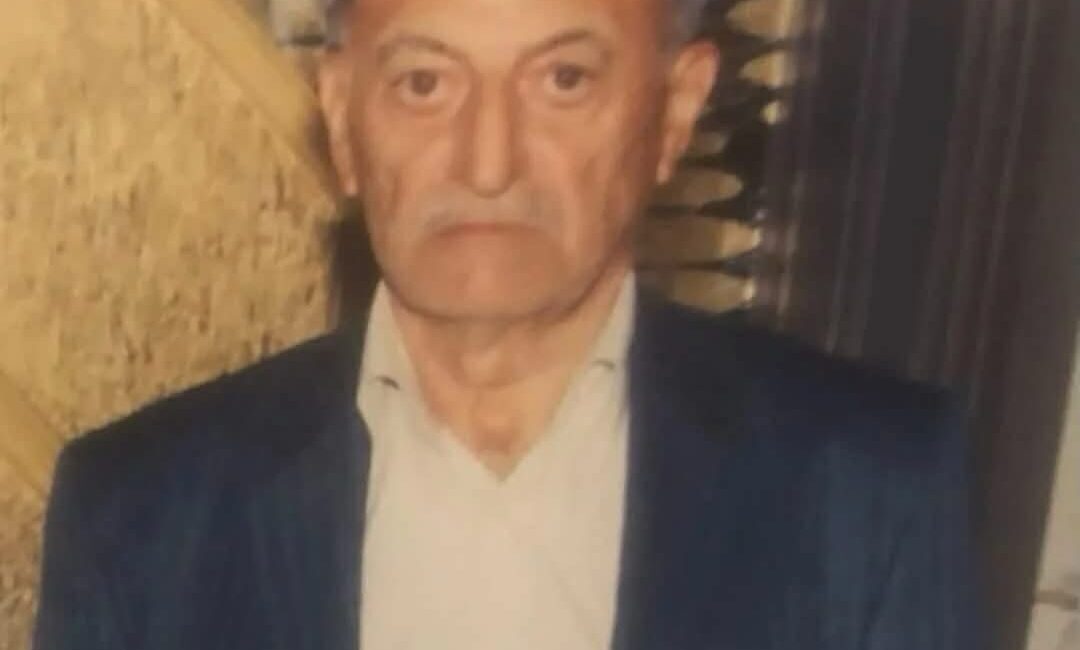 Emrah GEMİCİOĞLU/ORDU, – ORDU’da yaya geçidinden karşıya geçerken otomobilin çarptığı