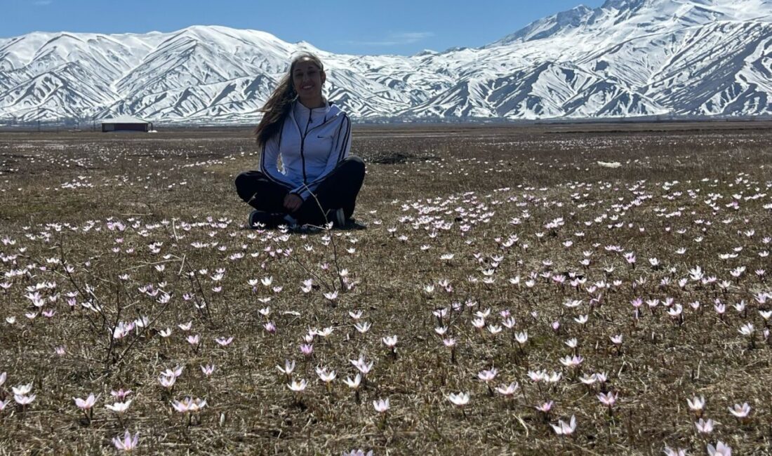 Yaşar KAPLAN/YÜKSEOVA (Hakkari), – HAKKARİ’nin Yüksekova ilçesinde baharın gelişini müjdeleyen