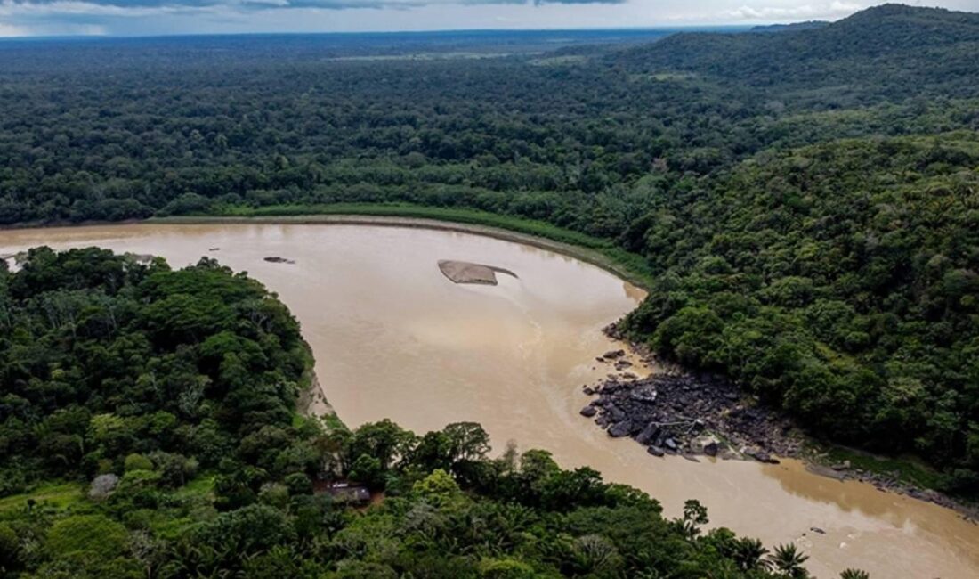 Brezilya Amazon yağmur ormanlarında uzun süredir uygulanan ve ormansızlaşmayı önemli