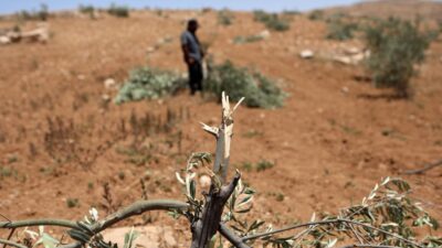 İşgalci İsrail ordusu, Batı Şeria’nın kuzeyinde yer alan Selfit kentine