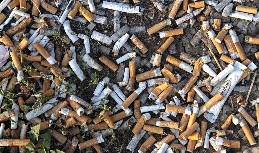 Almanya’nın başkenti Berlin’de Senato’nun kent genelinde kirlilik ile mücadele kapsamında