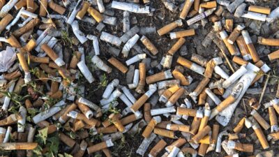 Almanya’nın başkenti Berlin’de Senato’nun kent genelinde kirlilik ile mücadele kapsamında