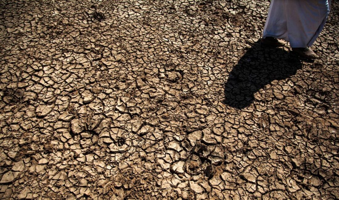 Birleşmiş Milletler Gıda ve Tarım Örgütü (FAO) Türkiye Temsilci Yardımcısı