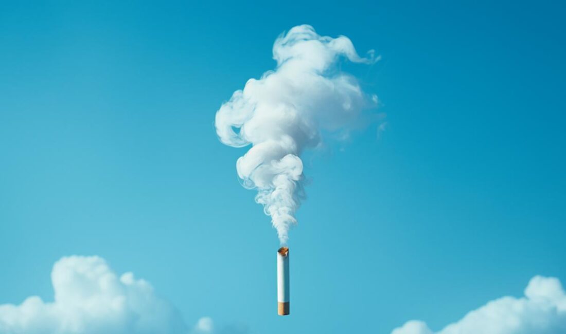 Dünya Sağlık Örgütü (DSÖ) Genel Direktörü Tedros Adhanom Ghebreyesus, tütünün