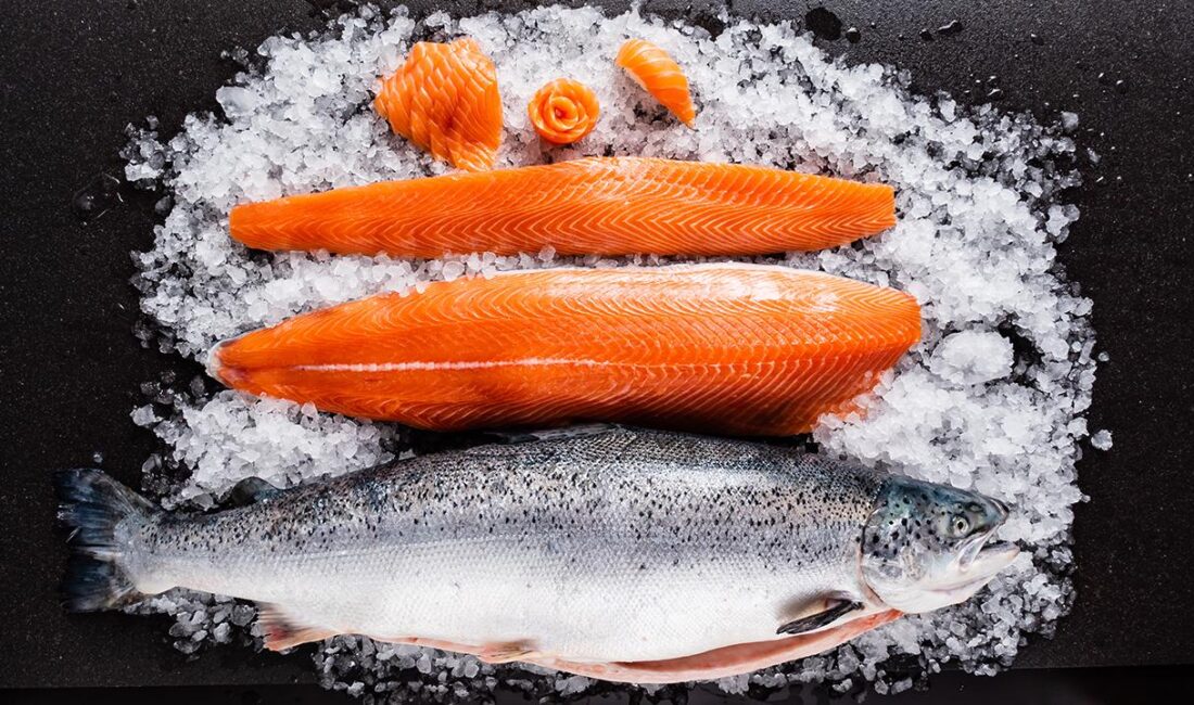 Doğu Karadeniz’den ocak-ekim döneminde yapılan Türk somonu ihracatı, 152 milyon