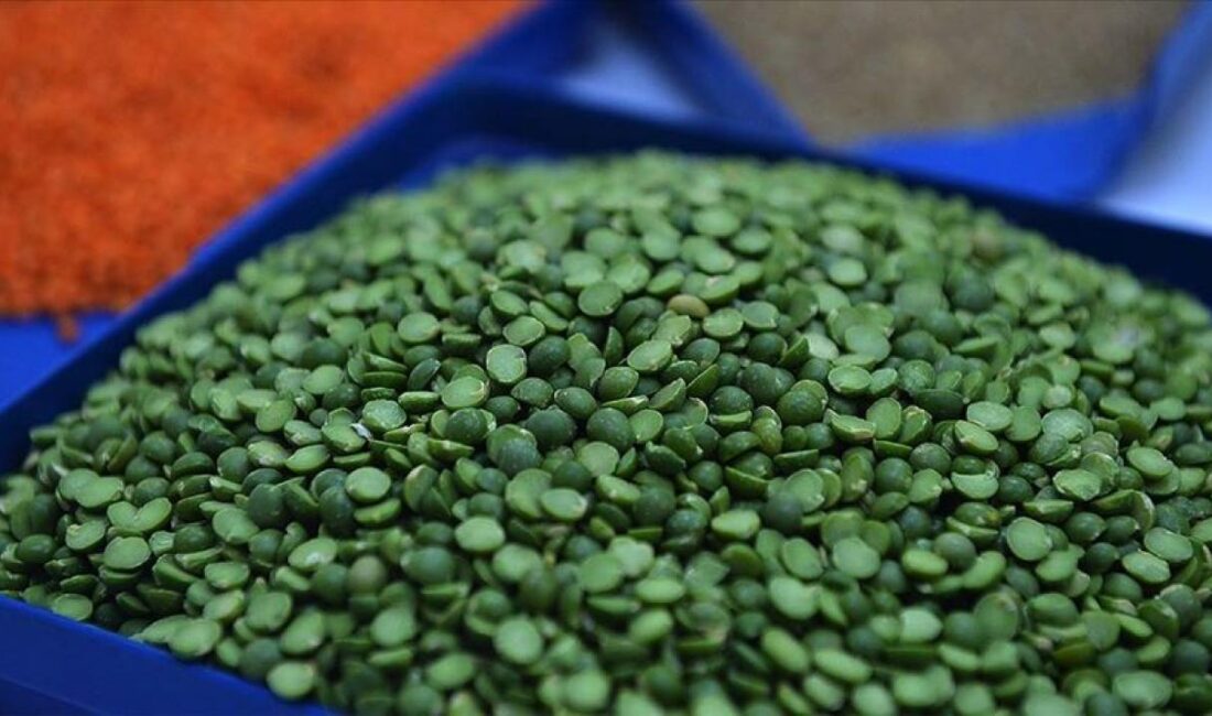 Ramazan ayı öncesinde vatandaşların gıda ürünlerine uygun fiyatla ulaşmasını temin