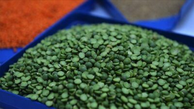 Ramazan ayı öncesinde vatandaşların gıda ürünlerine uygun fiyatla ulaşmasını temin