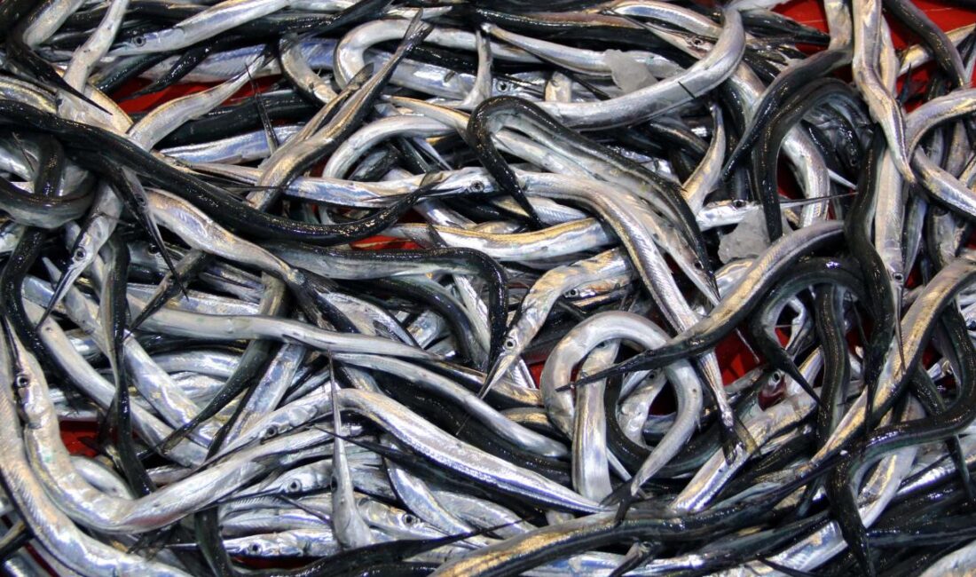 Tarım ve Orman Bakanlığı Su Ürünleri Tescil Komitesi, gıda amaçlı