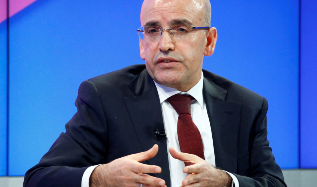 Bugün açıklanan cari açık rakamlarını değerlendiren Hazine ve Maliye Bakanı