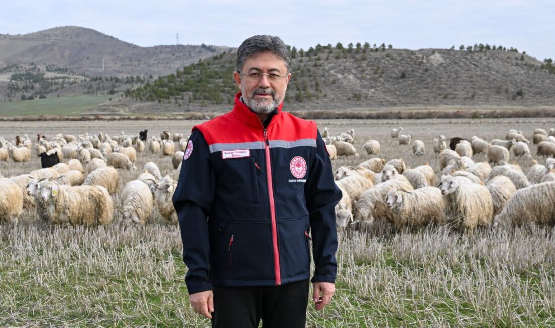 Tarım ve Orman Bakanı İbrahim Yumaklı, tiftiğin, katma değerli bir