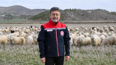 Tarım ve Orman Bakanı İbrahim Yumaklı, tiftiğin, katma değerli bir