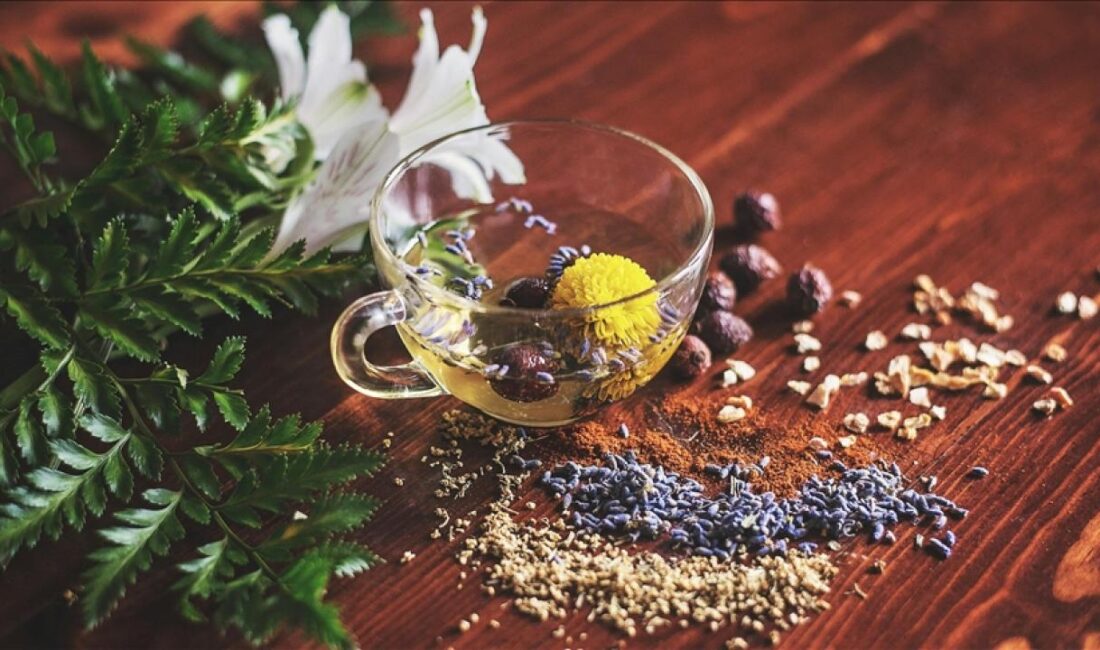 Üreticiler tarafından satın alınarak uygulanan bitki koruma ürünü ve ilaçlar