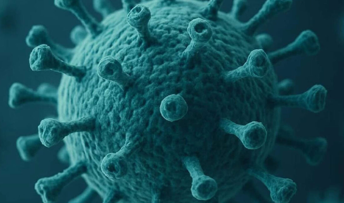 Avustralya’da 7 farklı noktada mutasyon geçiren yeni H3N2 influenza virüsü,