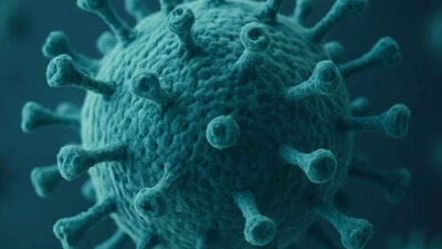 Avustralya’da 7 farklı noktada mutasyon geçiren yeni H3N2 influenza virüsü,