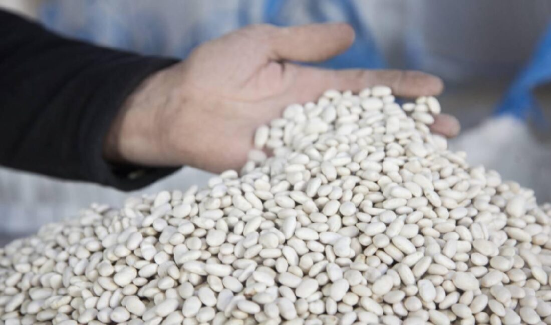 Cumhurbaşkanlığı İletişim Başkanlığı Dezenformasyonla Mücadele Merkezi (DMM), “kuru fasulye krizinin