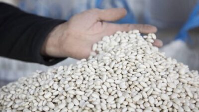 Cumhurbaşkanlığı İletişim Başkanlığı Dezenformasyonla Mücadele Merkezi (DMM), “kuru fasulye krizinin