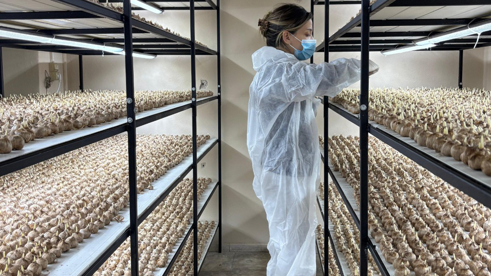 Bolu’da mali müşavirlik mesleğini bırakıp, hayalini kurduğu çiftçiliğe yönelen Şeyda