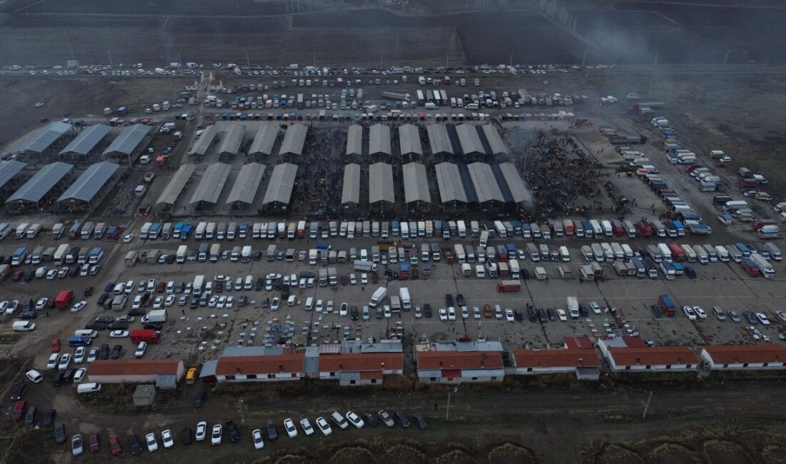 Sivas’ın Şarkışla ilçesinde şap hastalığı nedeniyle kapatılan canlı hayvan pazarı