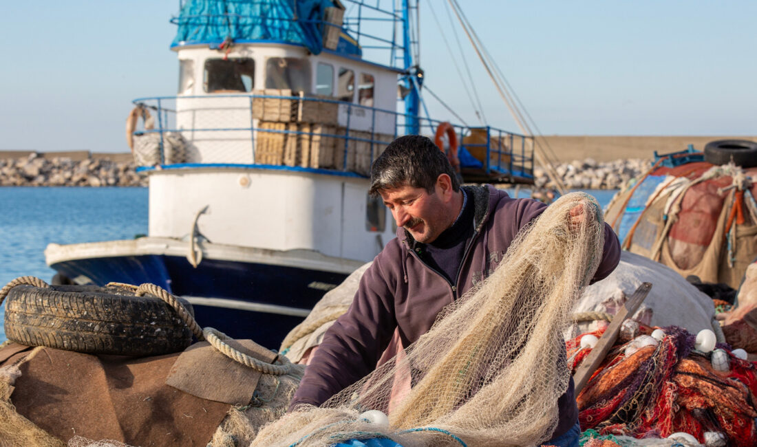 Türk tekne filosunun son zamanlarda Afrika’da avlanması ve balık unu
