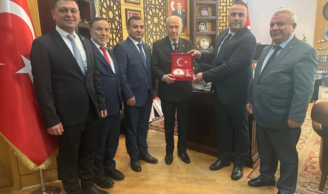 Milliyetçi Hareket Partisi Kırıkkale İl Başkanı Murat Abalı, Merkez İlçe