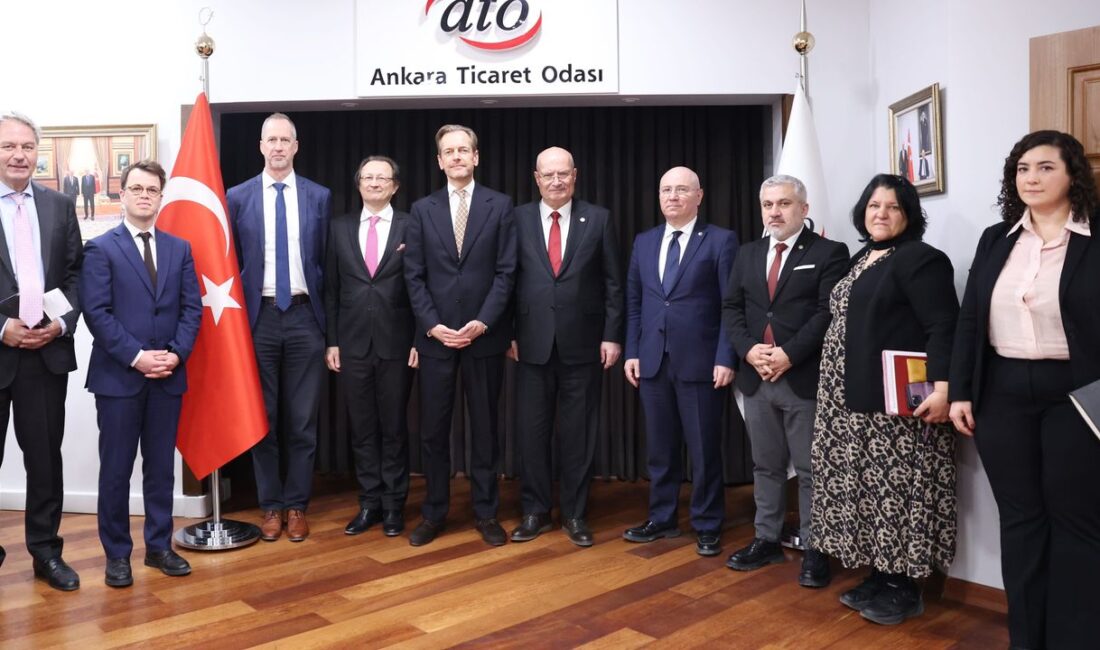 Belçika Kraliçesi Başkanlığında ticaret heyeti, Türkiye ziyareti öncesinde Belçika Büyükelçisi