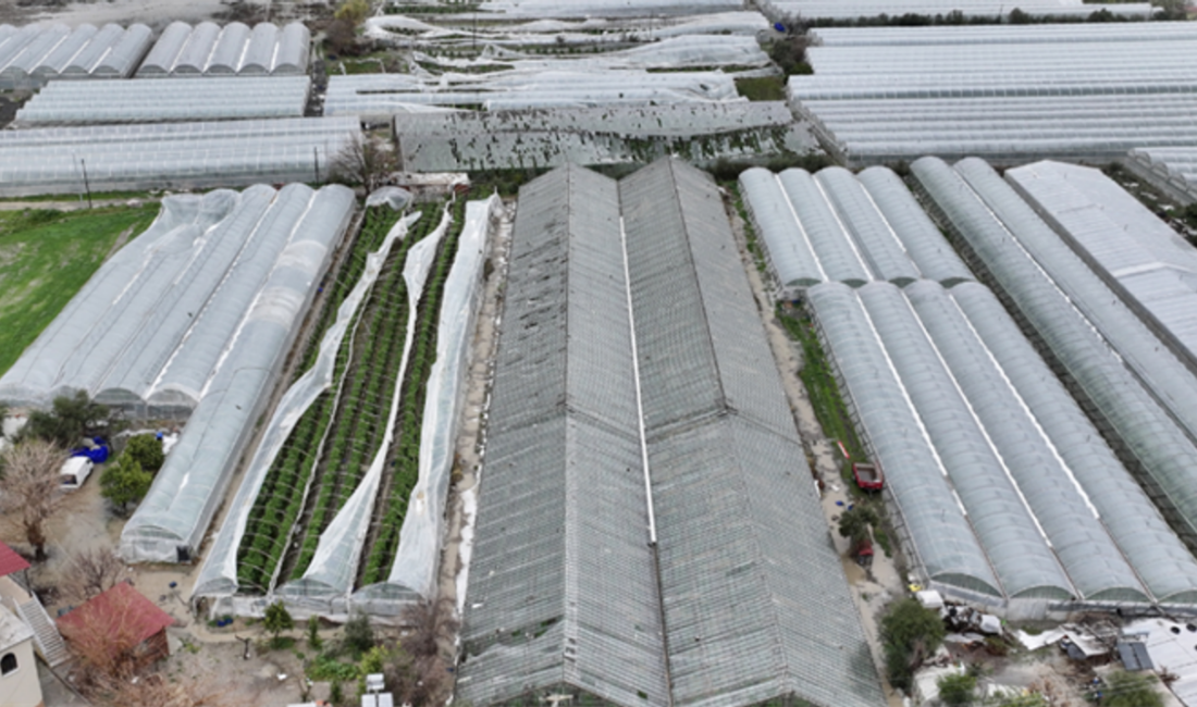 Tarım ve Orman Bakanı İbrahim Yumaklı, Antalya'da etkili olan sel