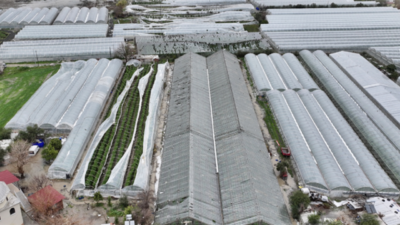 Tarım ve Orman Bakanı İbrahim Yumaklı, Antalya'da etkili olan sel