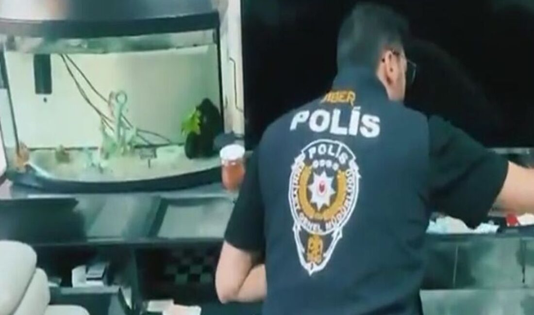 Bakanı Ali Yerlikaya: Siber Suçlarla Mücadele Kapsamında Son 5 Günde