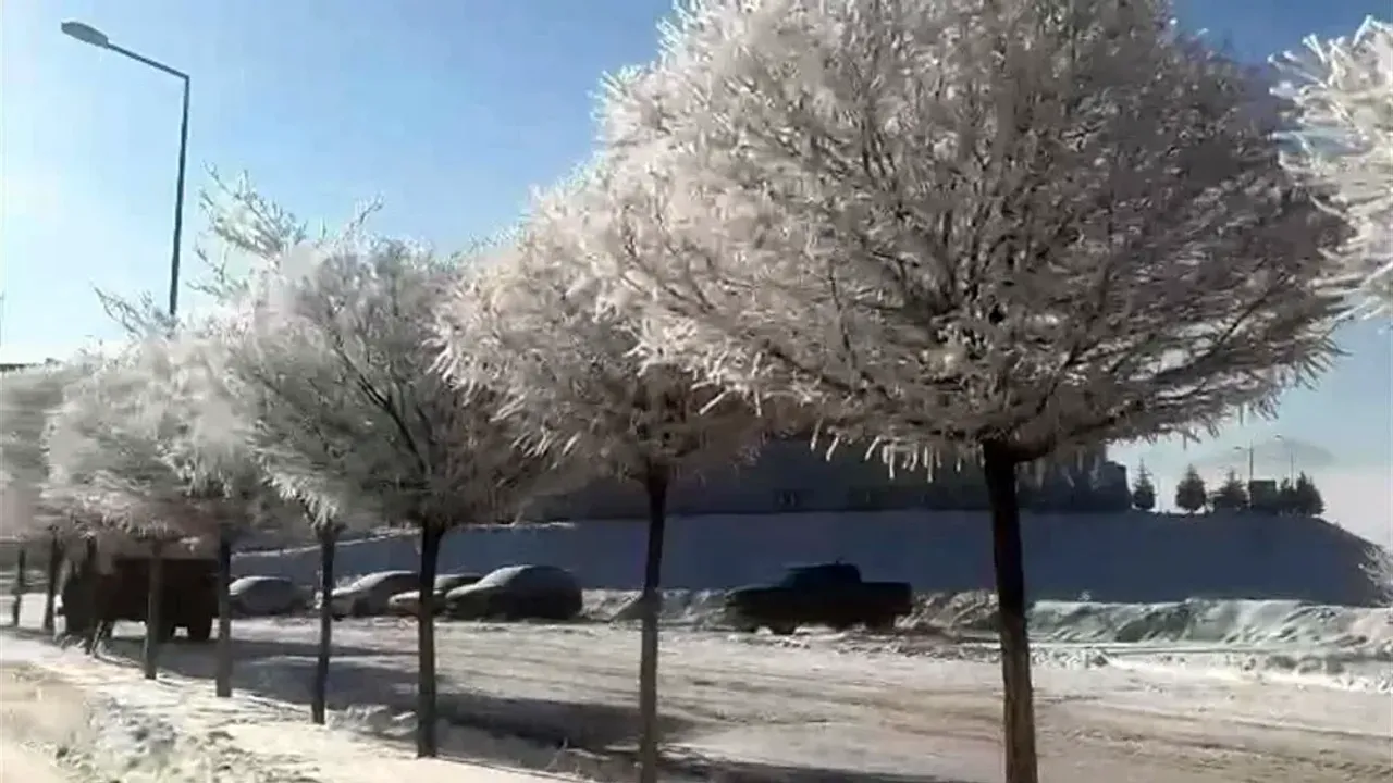 Adana'nın Tufanbeyli ilçesinde hava sıcaklıklarının gece saatlerinde eksi 15 dereceye