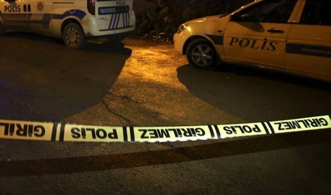 Bursa’nın İnegöl ilçesinde damat, silahlı saldırıda kayınbabası ve kayınbiraderini vurdu.