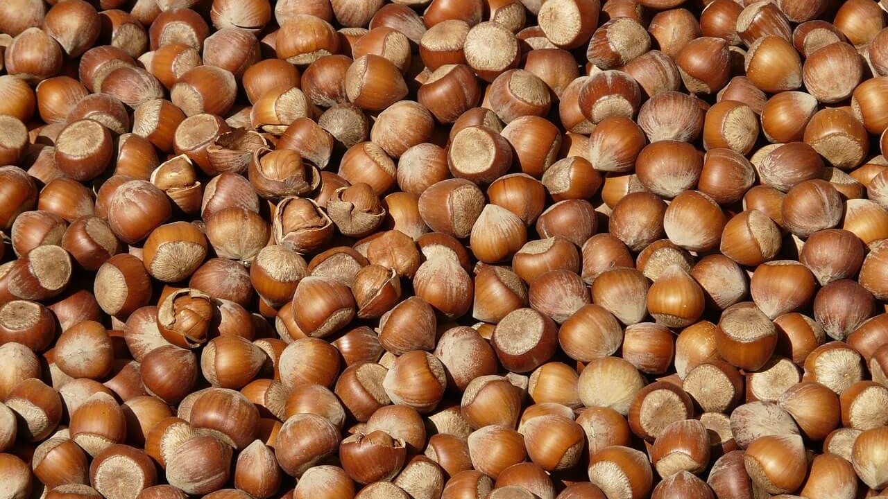 Trabzon, Rize, Artvin ve Gümüşhane’den 2026 yılının ocak ayında toplam