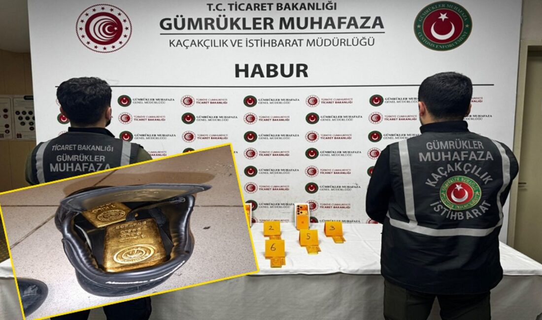 Ayakkabıların içine gizlenen 41 kilo altın, Habur Gümrük Kapısı’ndaki kontrollerde