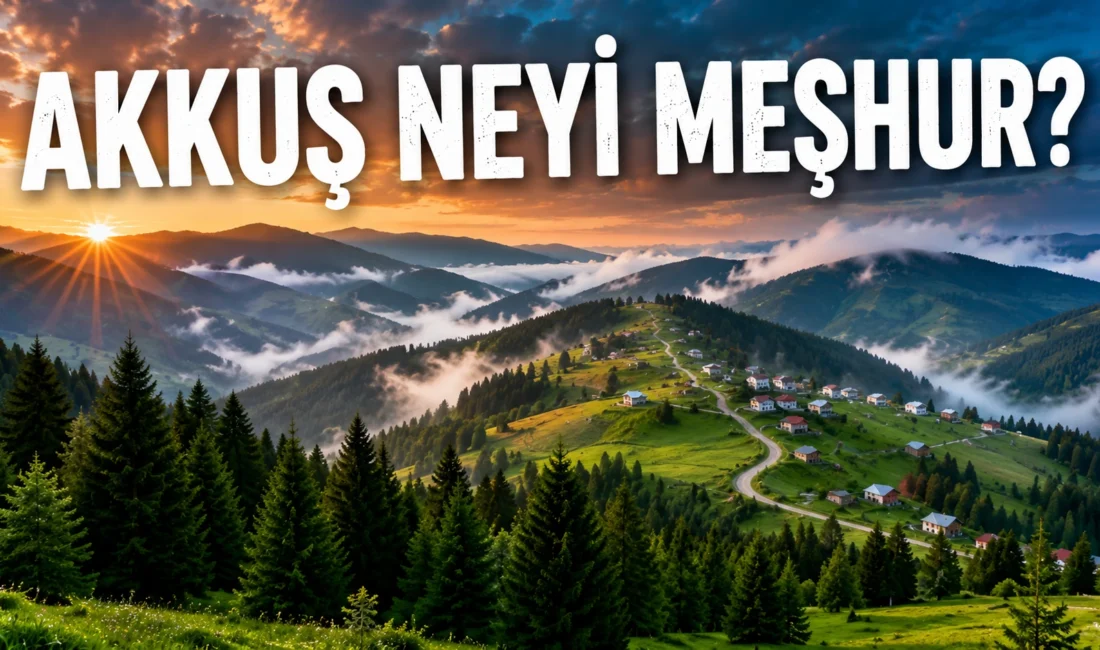 Akkuş Neyi Meşhur? Gezilecek Yerler, Tarihi ve Gezi Rehberi Ordu’nun