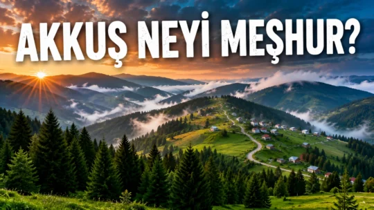 Akkuş Neyi Meşhur? Gezilecek Yerler, Tarihi ve Gezi Rehberi Ordu’nun