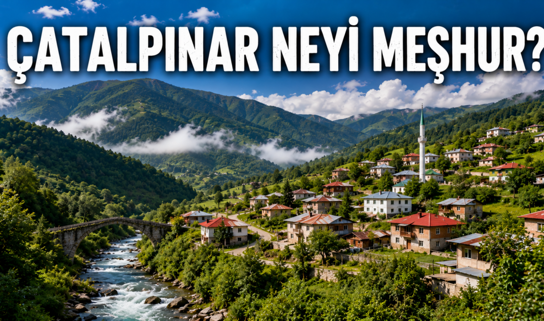 Çatalpınar Neyi Meşhur? Gezilecek Yerler, Tarihi ve Gezi Rehberi Ordu’nun