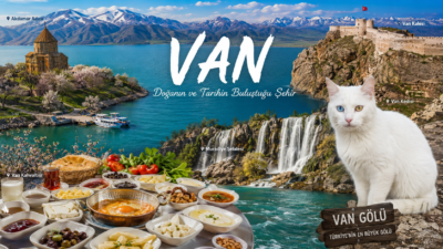 Van Nerede Van, Doğu Anadolu Bölgesi’nde yer alan ve yüzölçümü