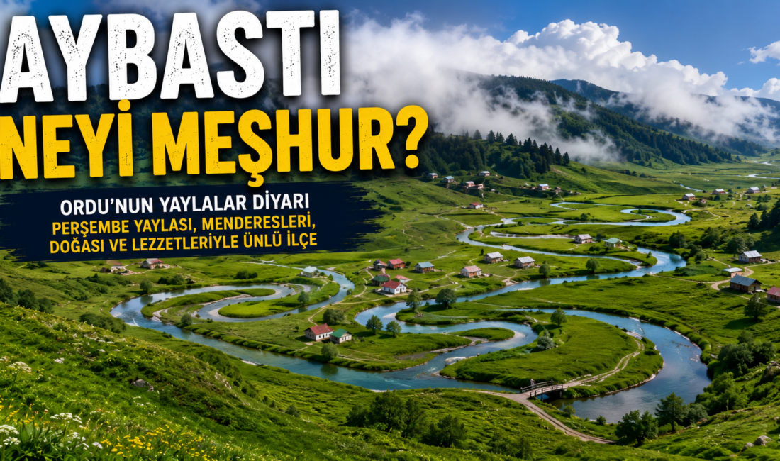 Aybastı Neyi Meşhur? Gezilecek Yerler, Tarihi ve Gezi Rehberi Ordu’nun