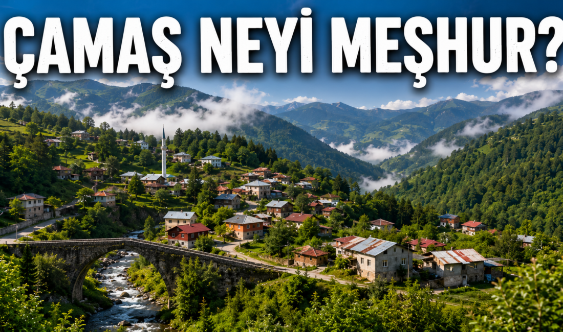 Çamaş Neyi Meşhur? Gezilecek Yerler, Tarihi ve Gezi Rehberi Ordu’nun