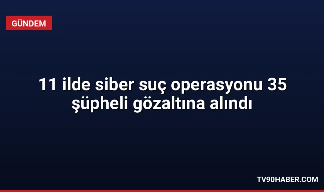 11 ilde eş zamanlı düzenlenen siber suç operasyonlarında 35 kişi