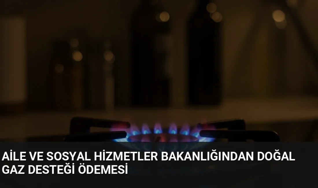 Aile ve Sosyal Hizmetler Bakanı Göktaş, temmuz dönemi doğal gaz