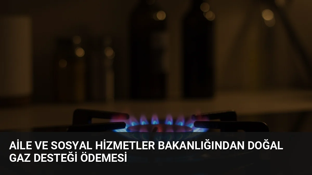 Aile ve Sosyal Hizmetler Bakanı Göktaş, temmuz dönemi doğal gaz