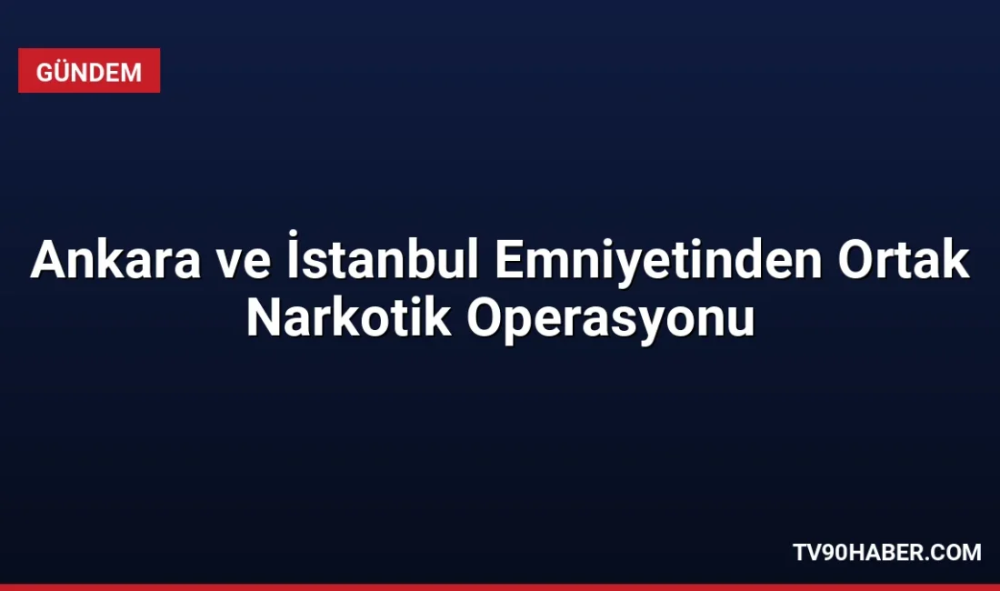 Van'dan İstanbul'a kargo yoluyla gönderilen 109 kilo 300 gram eroin,